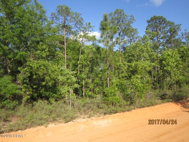 Buckhorn Creek - Land