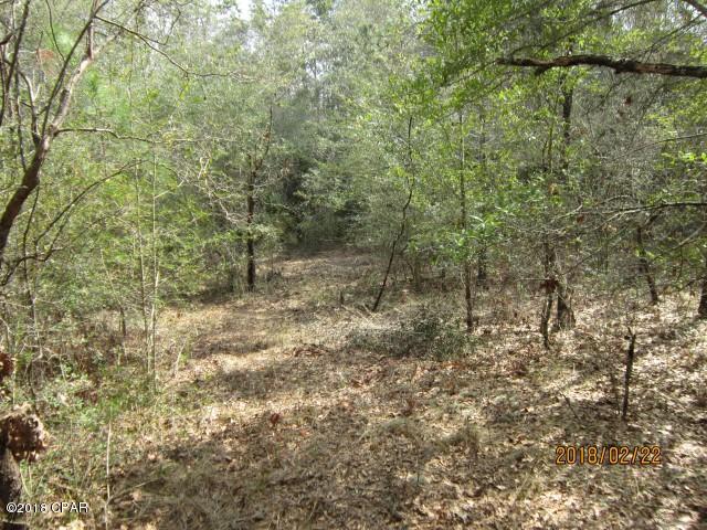 Buckhorn Creek - Land