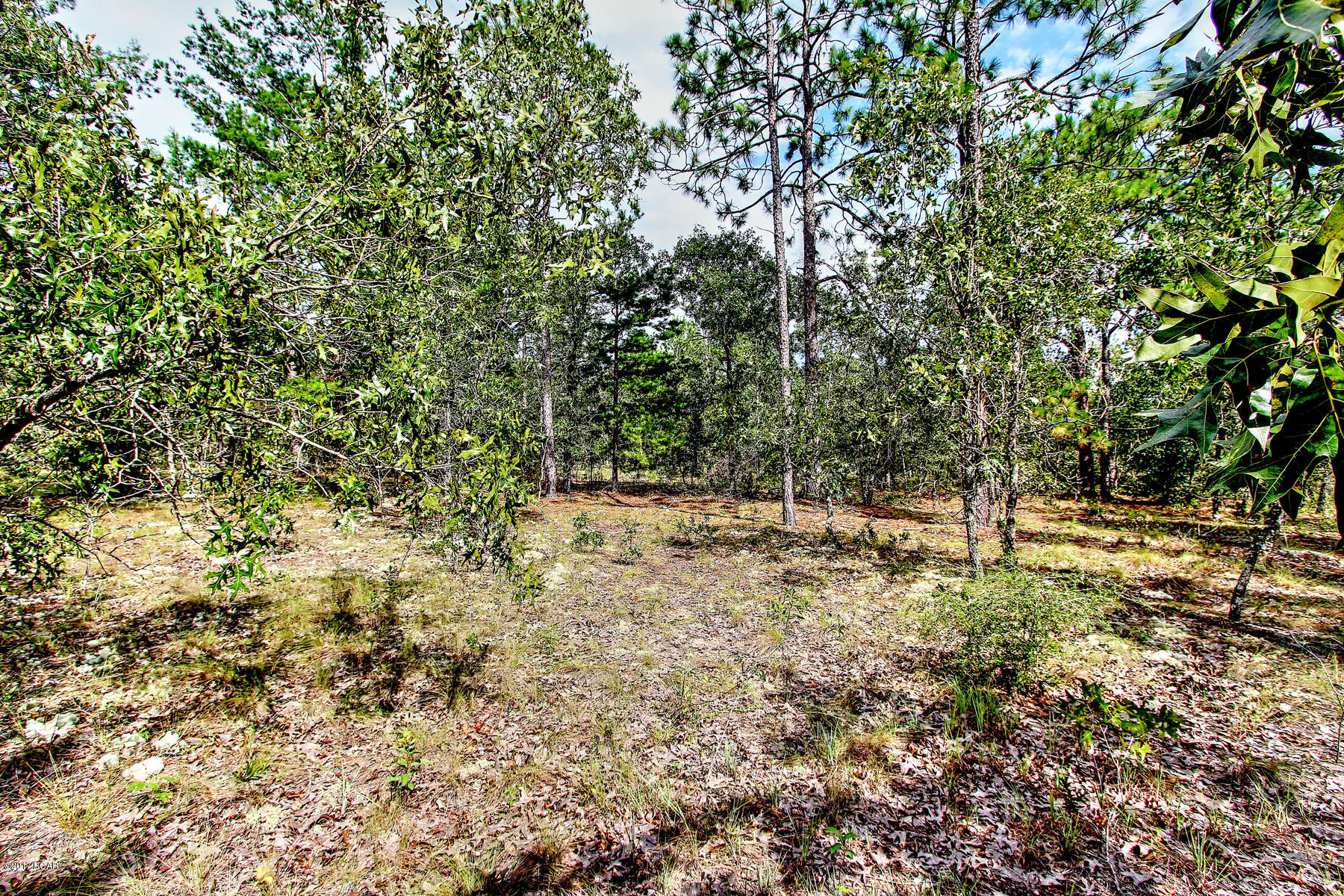 Grassy Pond Ranch - Land