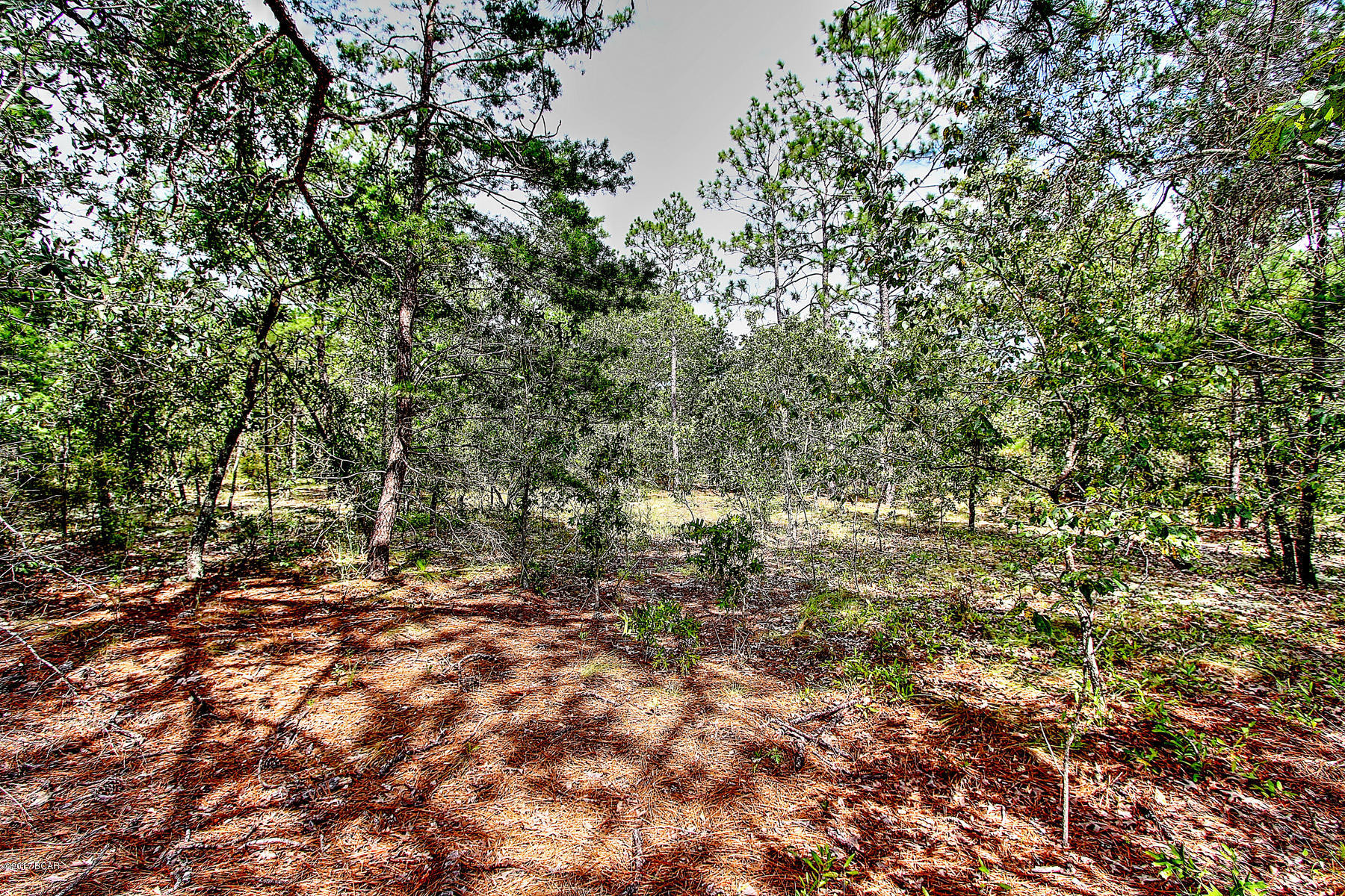Grassy Pond Ranch - Land
