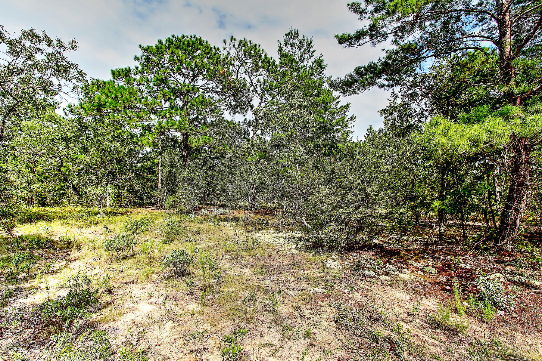 Grassy Pond Ranch - Land