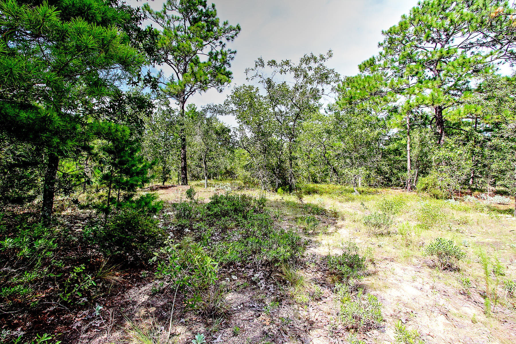Grassy Pond Ranch - Land