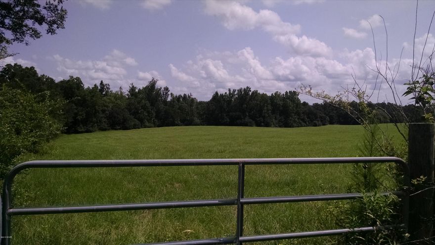 PRICE REDUCED!Beautiful tract of land located in Holmes County, not far from Bonifay. Most of property is on a hill, with a wet whether stream cutting through the middle of it. Property is mostly open pasture, with several great home sites available. Would be a great place for a small horse ranch. Come and see today.