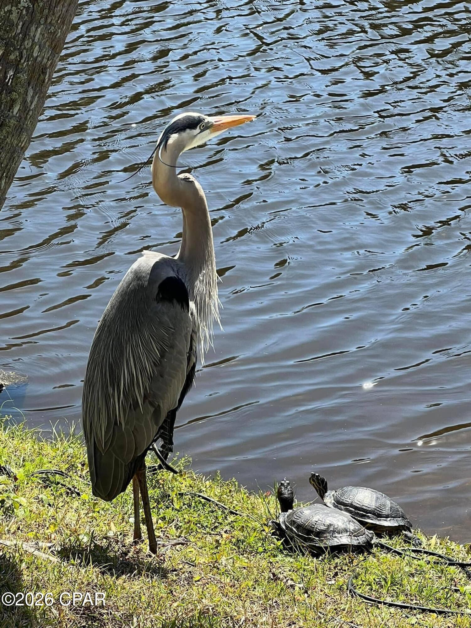 Horizon South IX - Residential