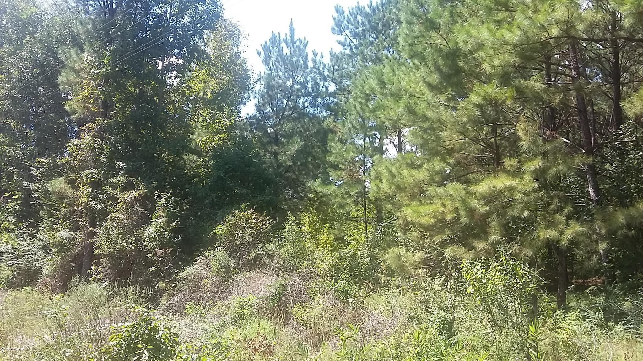 No Named Subdivision - Land