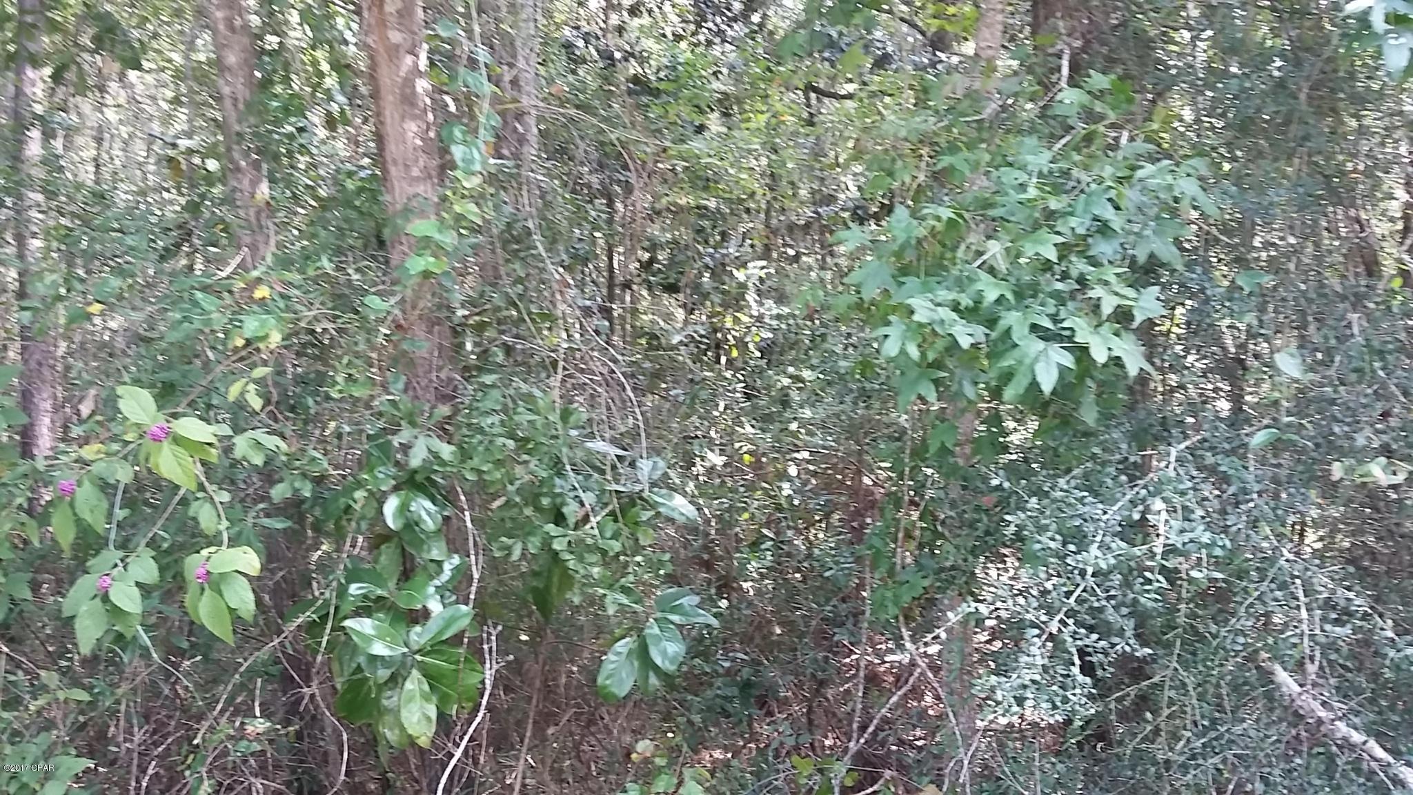 No Named Subdivision - Land