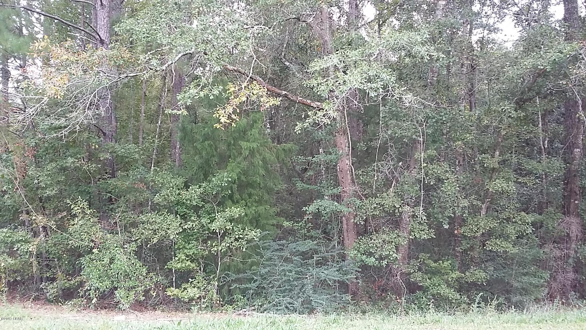 No Named Subdivision - Land