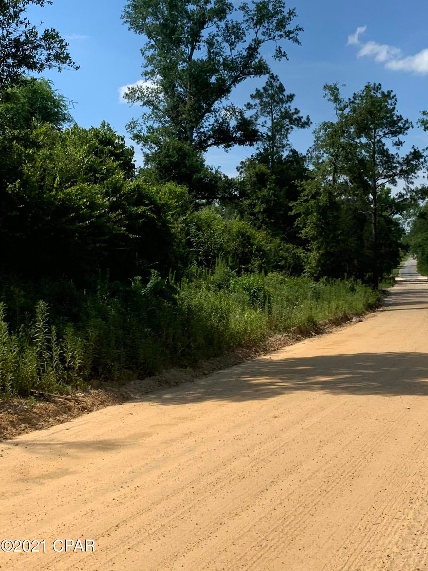 Wooded on County dirt road. Good hunting & home site. Only 45 to Panama City Beach. Property will need to be surveyed.