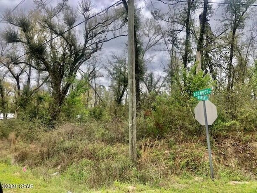 This is a very nice large 2.3 acre corner lot in Dogwood Heights.   It is nicely wooded.

It is in a great location just north of town.  Don't let this one get away!!