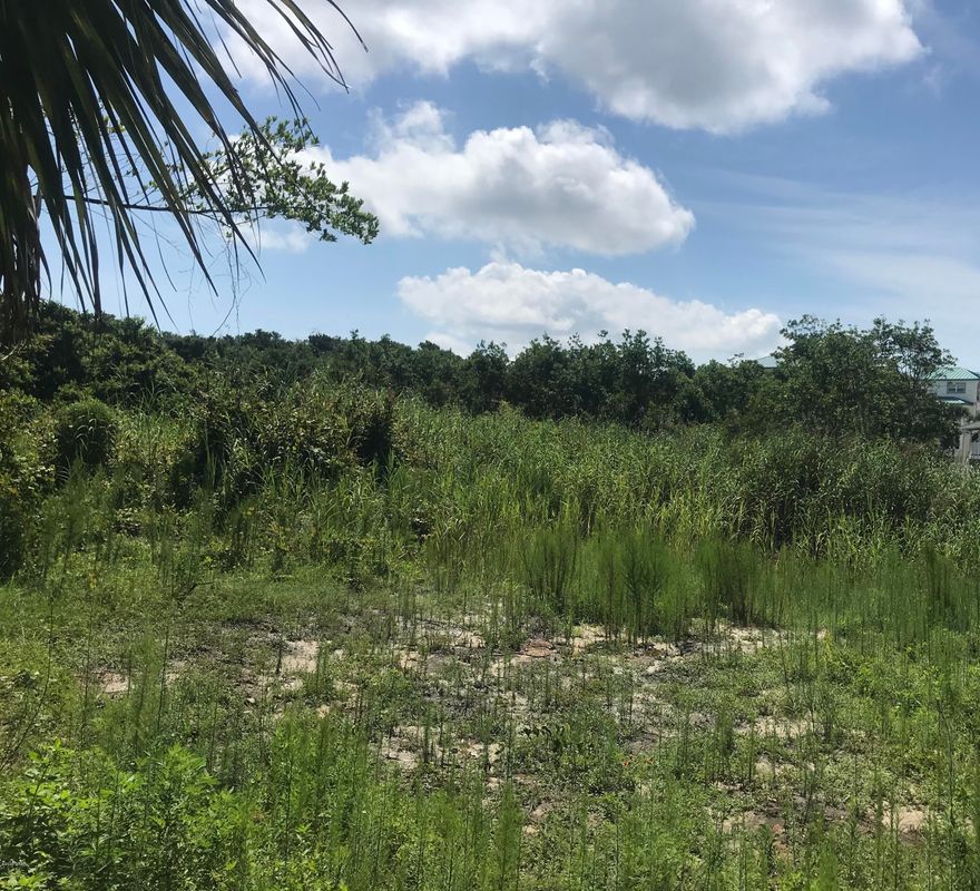 Almost a 1/3 of an acre , one block off Front Beach Road. Great Building Lot for your beach dream home or investment rentals. What an opportunity to own property this close to the Gulf.  Need a builder, no problem !