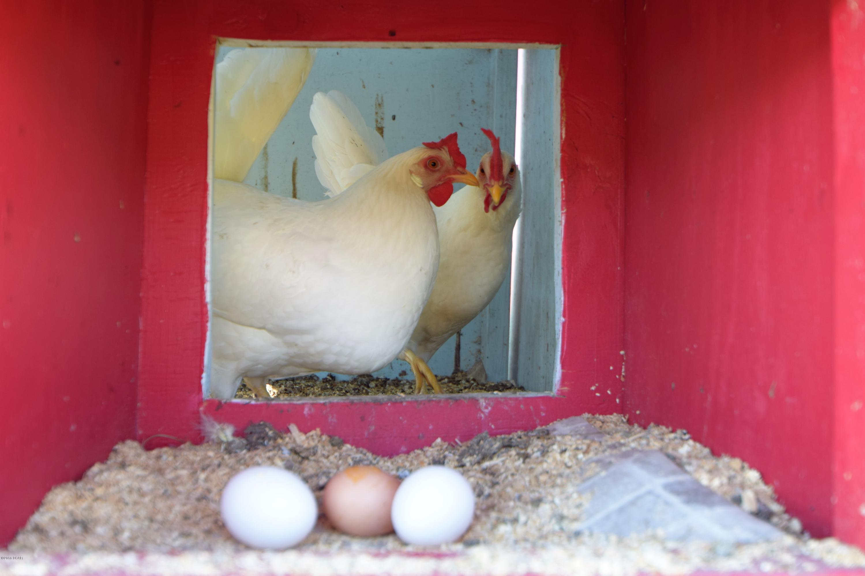 [No Recorded Subdiv] - Land