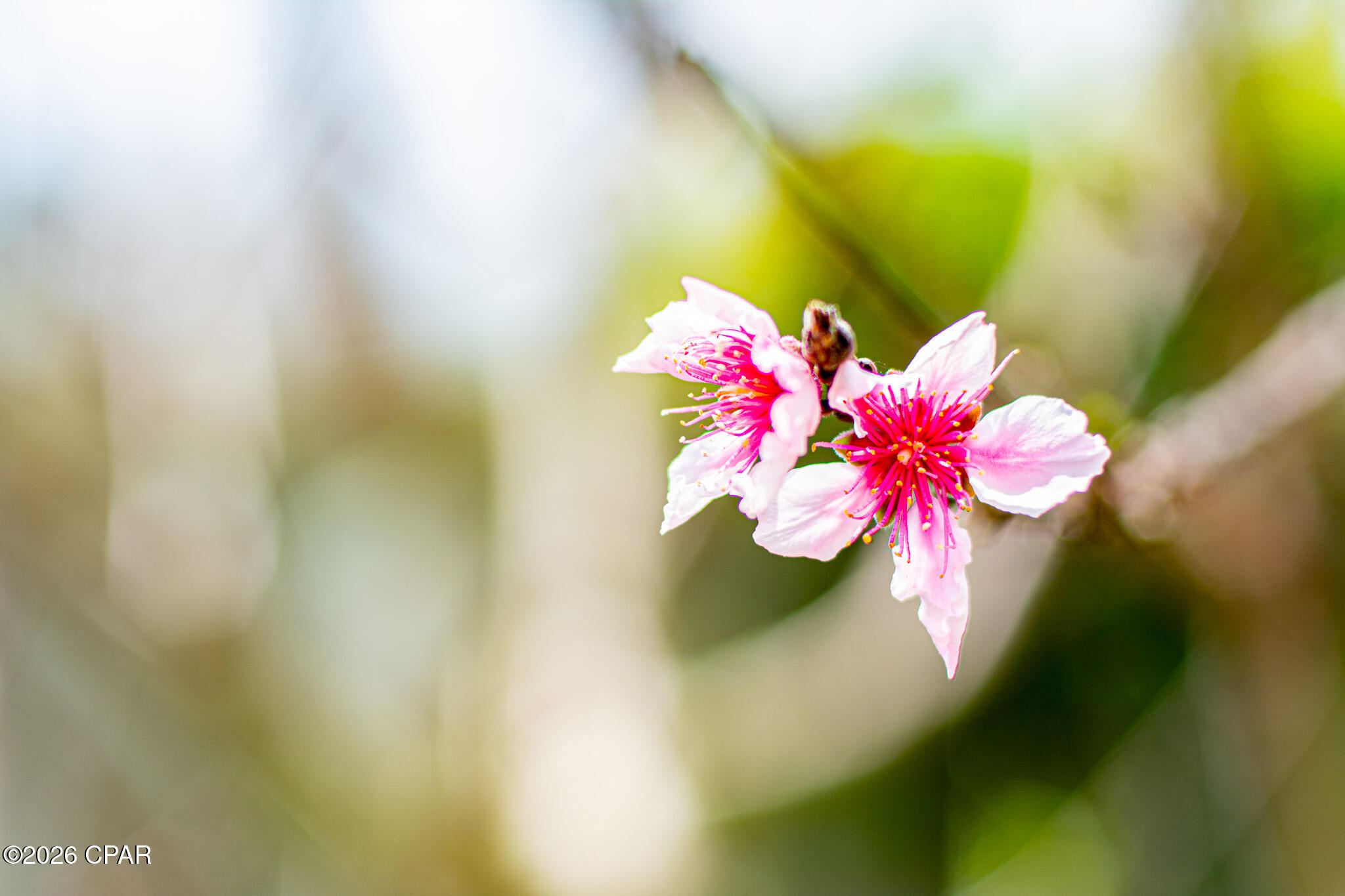 Delwood Estates Ph 1 - Residential