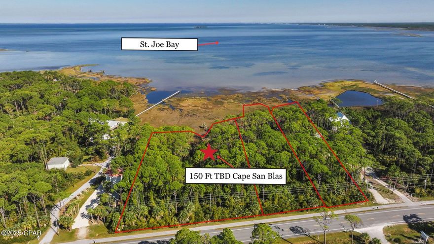CURRENTLY UNDER CONTRACT, SELLER WILL CONSIDER BACKUP OFFERS! Experience the unspoiled beauty and unmatched potential of this remarkable home site on Cape San Blas. Currently subject to replat for 150ft parcel with direct frontage on the pristine waters of St. Joe Bay, this rare offering is a true coastal treasure. Surrounded by towering pines, native vegetation, and an untouched shoreline, the property offers a peaceful, private setting where panoramic bay views and gentle breezes create the perfect backdrop for your coastal dream. This parcel delivers both natural beauty and exceptional versatility. A wetland delineation report is already available—streamlining your path to planning and permitting, and providing valuable insight for builders and investors alike. With direct access to the calm, clear waters of St. Joe Bay, outdoor enthusiasts will appreciate endless opportunities for kayaking, paddleboarding, fishing, and sunset watching. The property also fronts the 10-mile Loggerhead Trail, a popular bike and pedestrian path connecting you to beach access points, conservation areas, and the laid-back amenities of Cape San Blas. Just a short drive brings you to the charming coastal town of Port St. Joe, known for its full-service marina, waterfront dining, boutique shopping, and welcoming small-town atmosphere. For those seeking an even grander vision, this parcel can be purchased with two adjacent 100ft (#780394) and 75ft (#780399) bayfront lots and the adjoining Gulf-front property at 1048 Cape San Blas Rd, creating a truly unparalleled opportunity to own from bay to beach along Florida's stunning Forgotten Coast. Whether you're planning a legacy development or your dream coastal retreat, this property offers limitless possibilities. Call now for your private tour and LIVE THE BEACH LIFE!