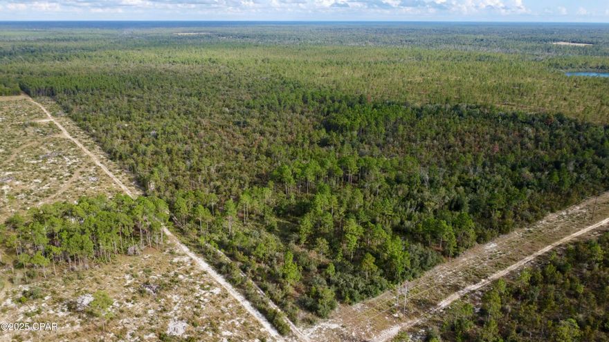 Additional 80 Adjacent Acres Available MLS# 779843

''You can print money, manufacture diamonds, and people are a dime a dozen, but they'll always need land. It's the one thing they're not making any more of.'' Lex Luther as portrayed by Kevin Spacey in Superman Returns (2006).