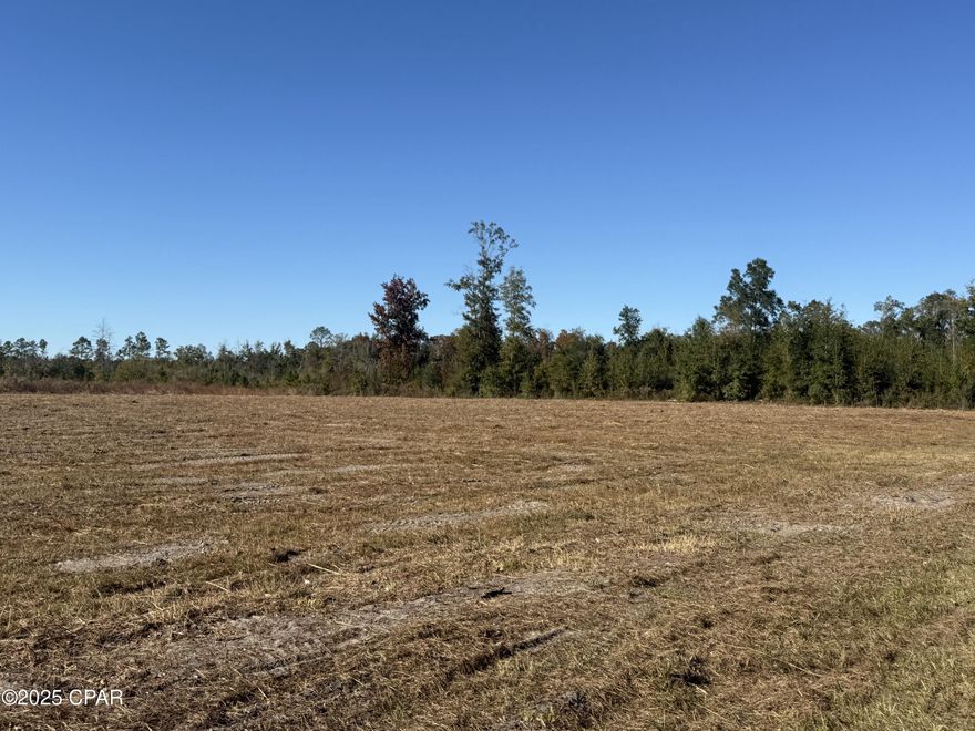 Two acres just 2 miles south of Wewahitchka with many possibilities. City water is adjacent to the property and other parcels are available as well. A rare opportunity to have substantial acreage at a great price near the city.   Lot is approved but not officially platted. Some photos are of the entire parent tract for reference only. Main photo is of the lot location. please see highlighted approved plat for dimensions.