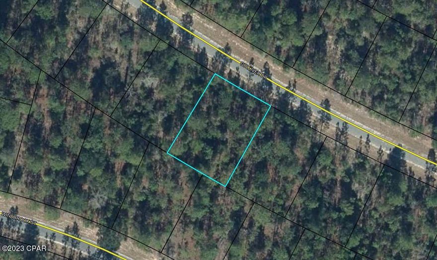 Vacant building lot in Sunny Hills. Sunny Hills is located just north of Panama City in Washington County. It is close to Hwy 77. 45 minutes to Panama City Beach and 35 minutes to the Panama City Beach Airport. It is deed restricted with no HOA's. Sunny Hills offers a golf course and many fishing locations. This community is growing fast with a lot of new construction. Go check it out today!

***Seller has other lots in Sunny Hills listed too***