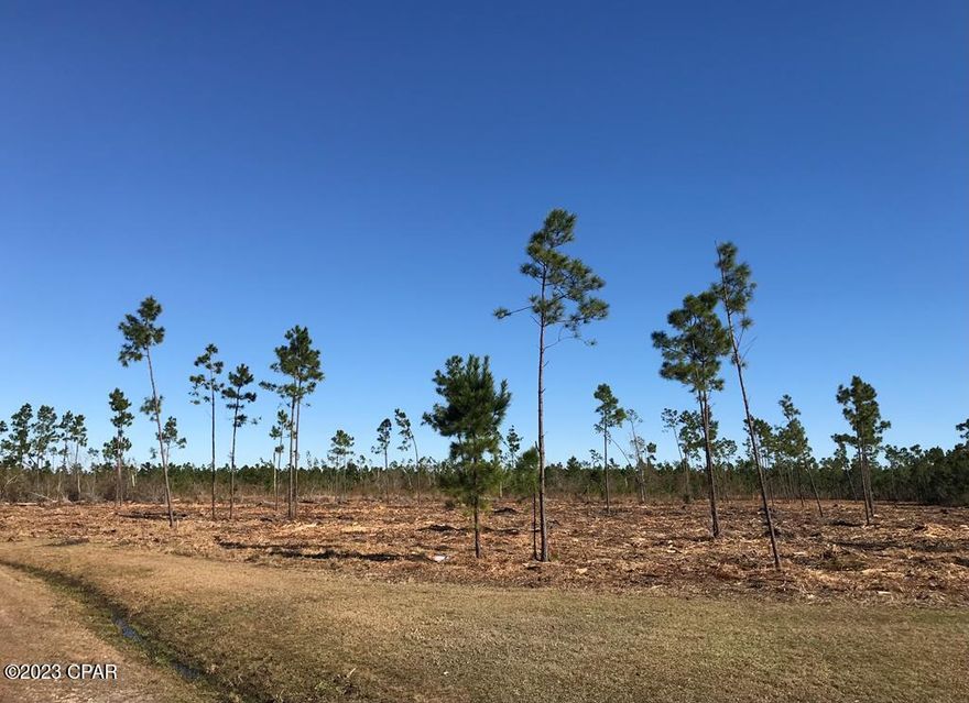 Country living at its best! Build your dream home in this TRANQUIL community along WETAPPO CREEK! Just CLEARED 1.91 ACRE home site sits high (X FLOOD Zone) in this 400+ Acre Development of Wetappo. Stunning Views & Majestic Wildlife abound! Underground Utilities! Individual GATED ACCESS code, Lots1-3 acres and home min 1500 sq ft-all assuring continued Privacy & Seclusion! Ample room for Pool, Workshop & more! RELAX! Walking Trails, Boardwalks, 2 Stocked Ponds, Clubhouse & Private BOAT RAMP-into the deepwater Creek-Navigate to the Intracoastal and on out in the GULF for FLORIDA'S BEST SALTWATER FISHING! Location! Just a 15 minute drive to Gorgeous MEXICO BEACH, Enjoy the Shops & Restaurants in Port St Joe & TYNDALL AFB (outside Panama City) just 25 min away! ADJACENT CLEARED 2 Acres are AVAILABLE also! Come see and make your Offer Today!