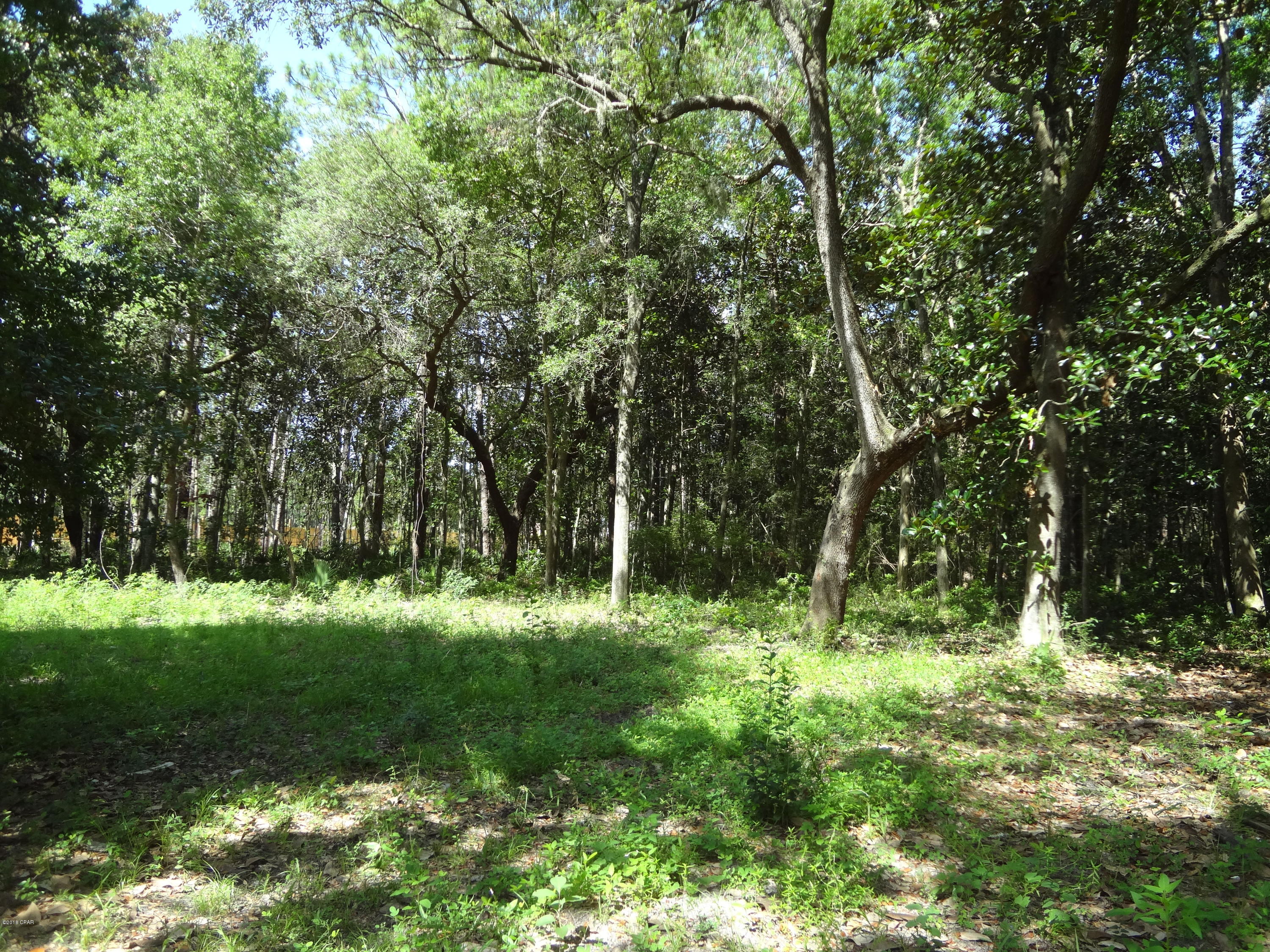 Pretty Bayou Estates - Land