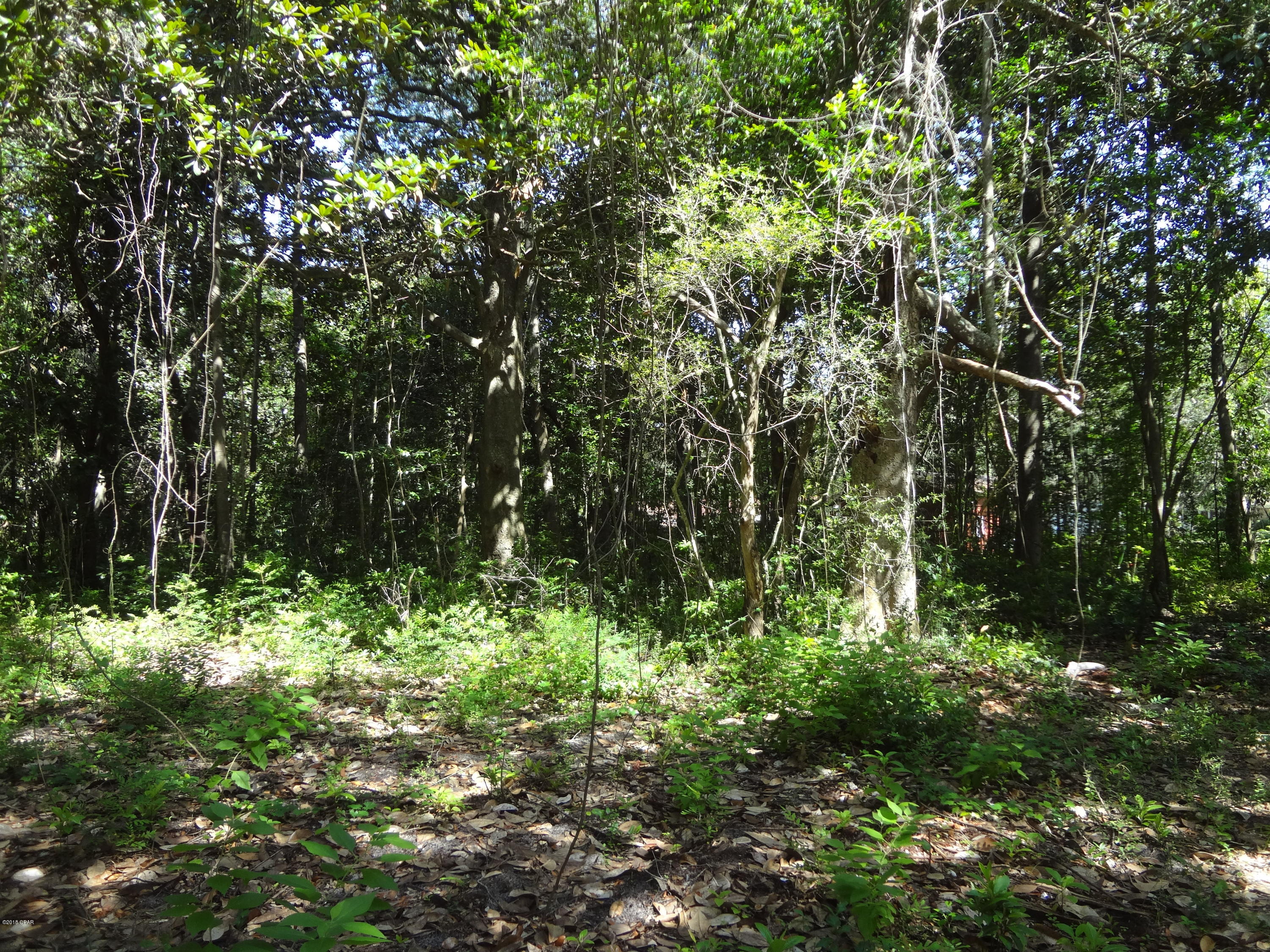 Pretty Bayou Estates - Land