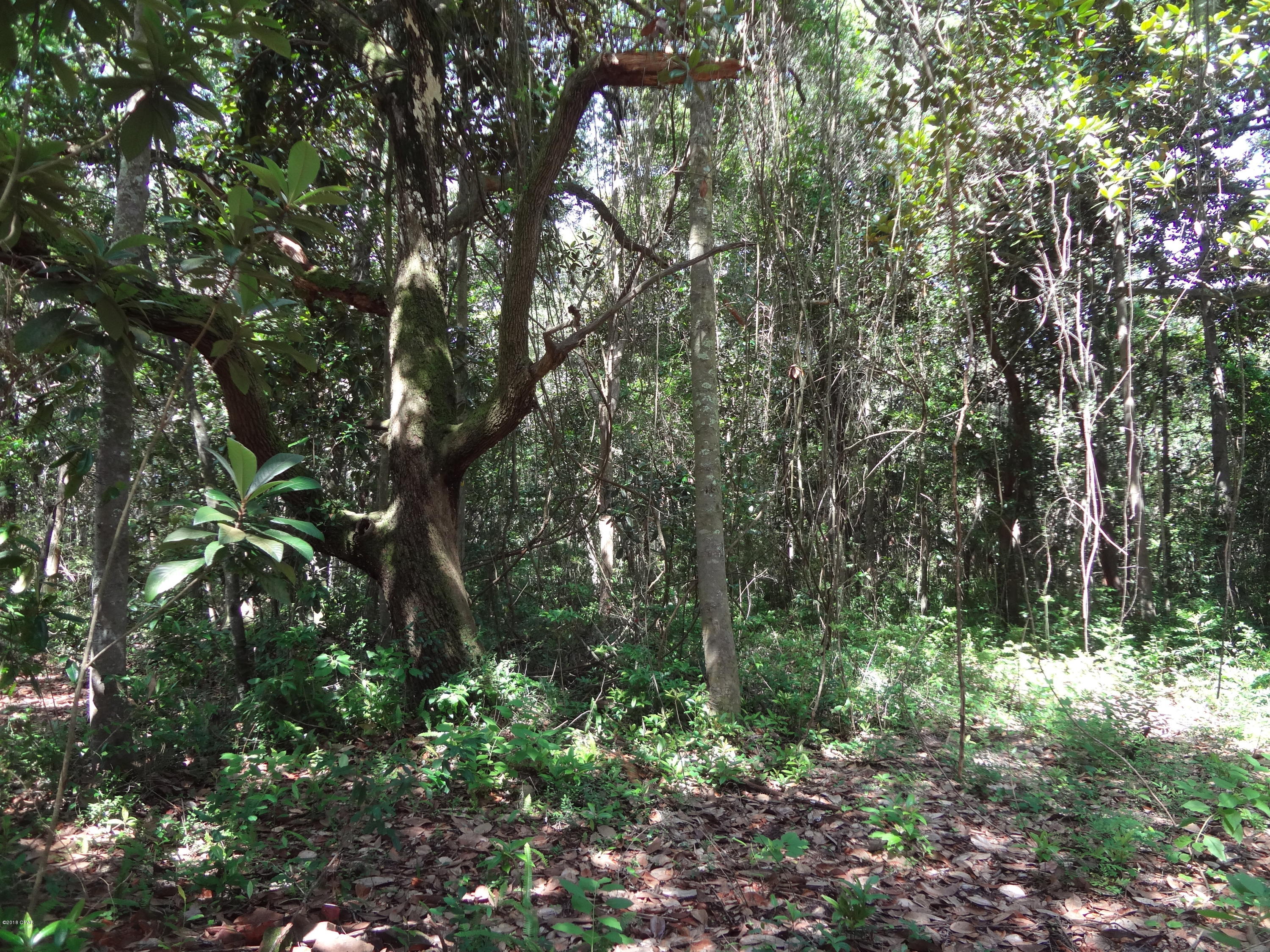 Pretty Bayou Estates - Land