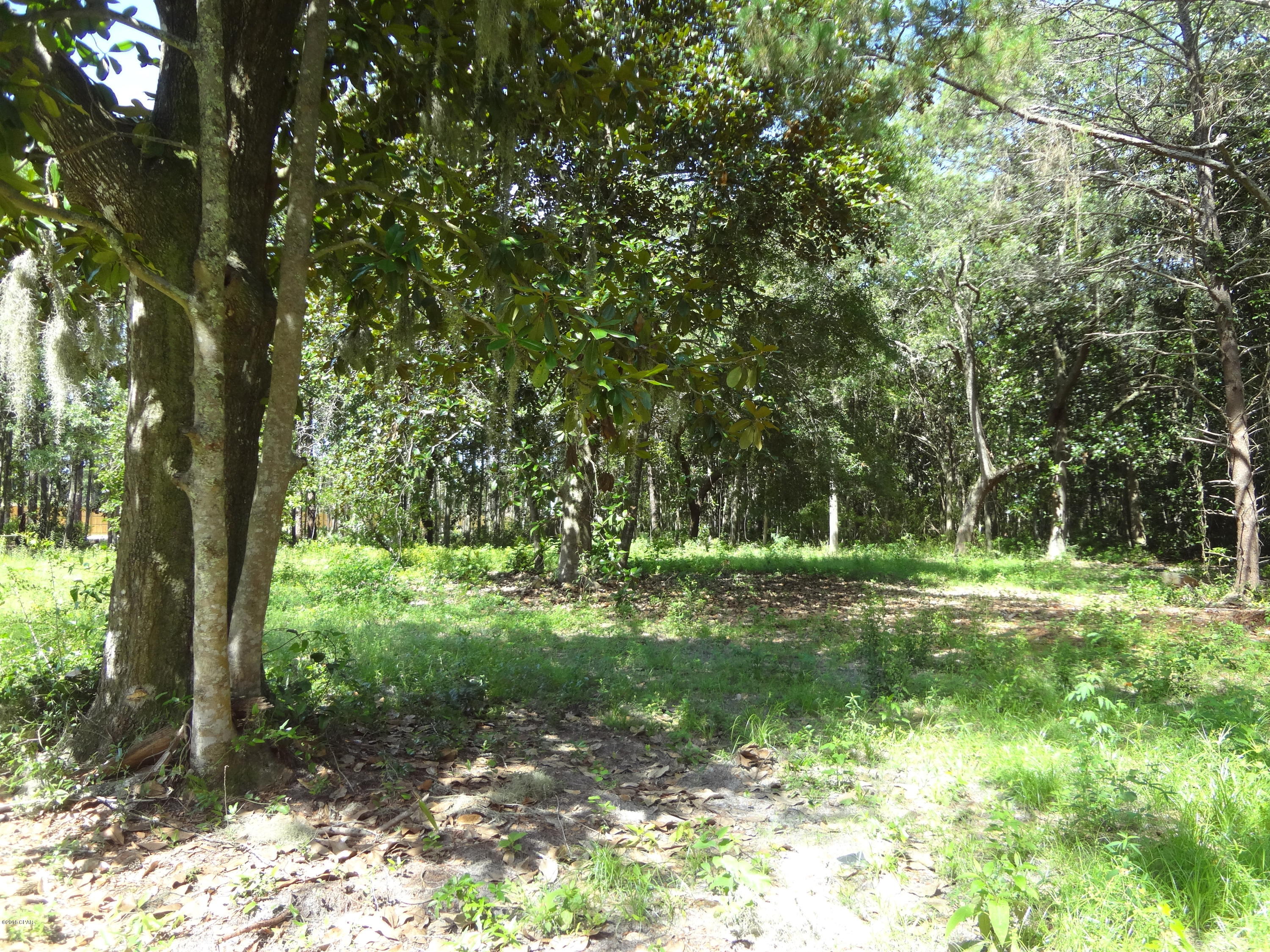 Pretty Bayou Estates - Land