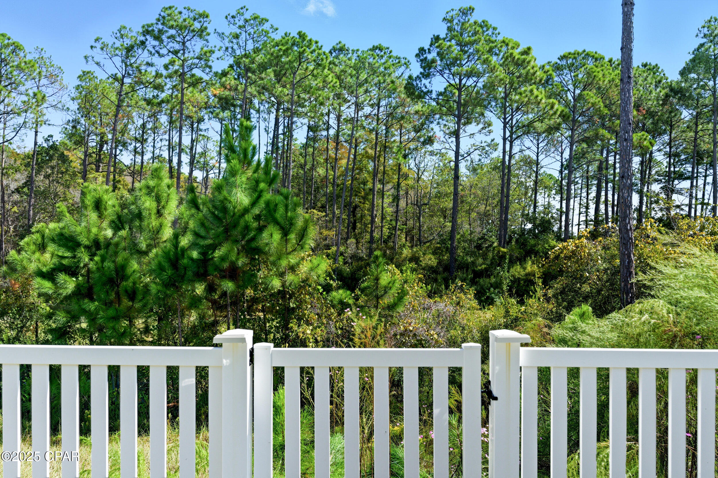 Breakfast Point - Residential