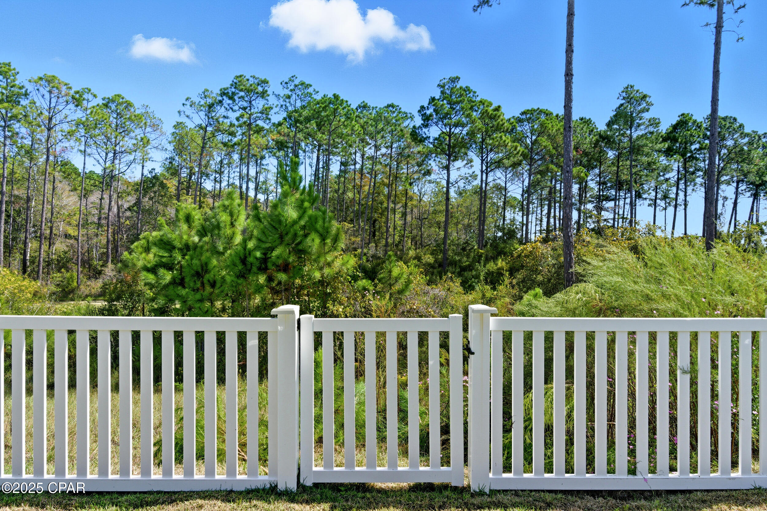 Breakfast Point - Residential