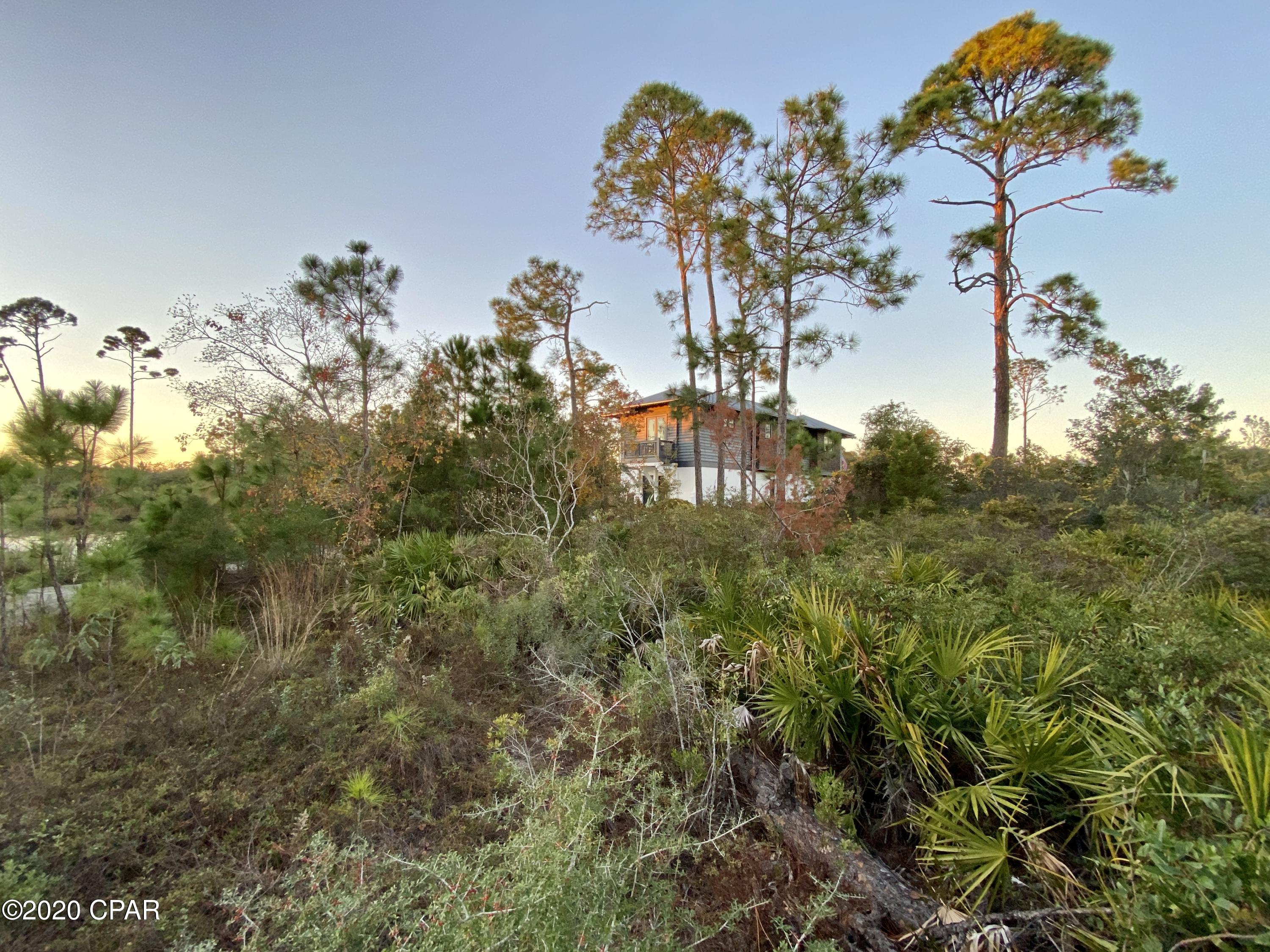 Martinique Phase II - Land