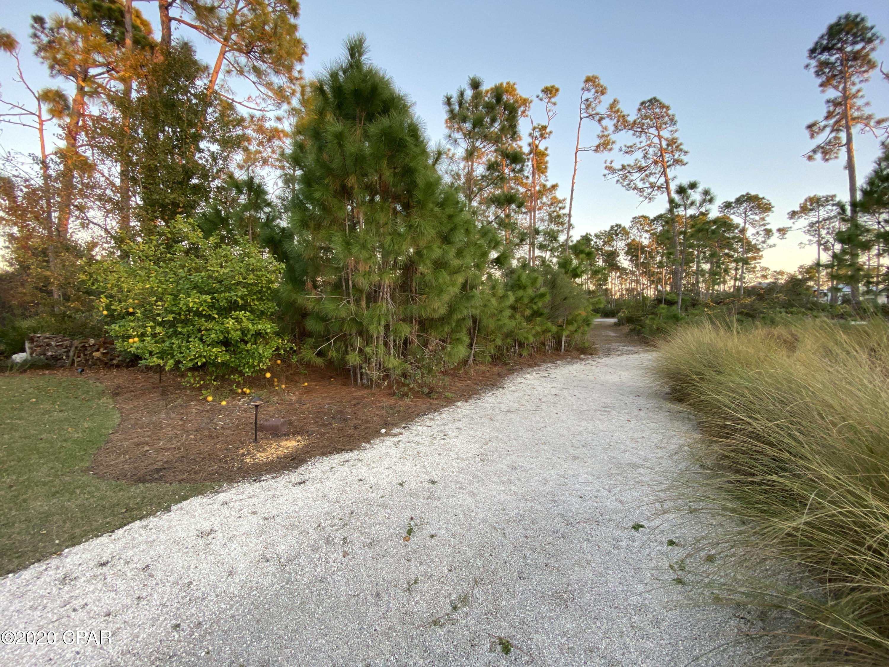 Martinique Phase II - Land