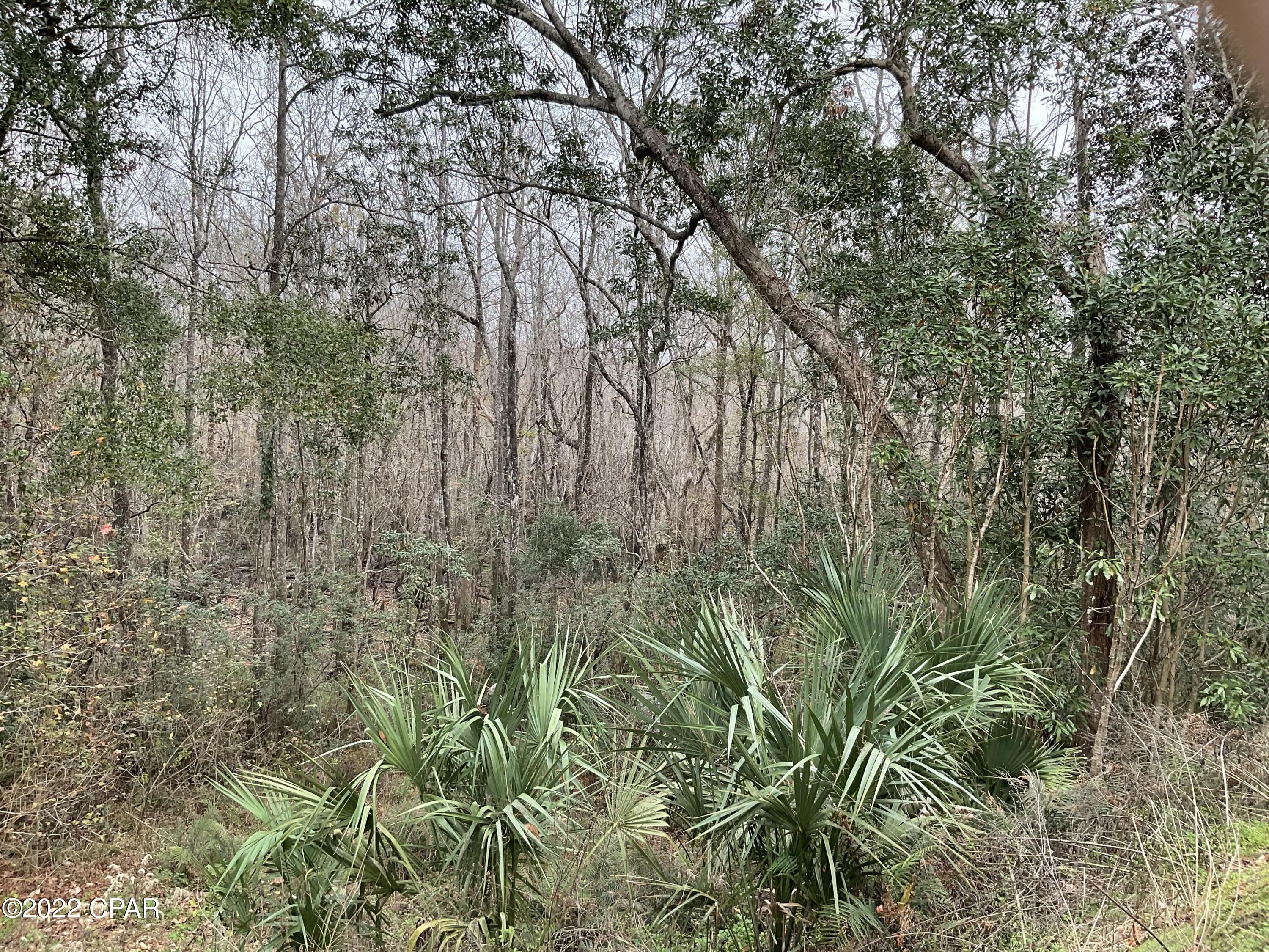 River Ranch Retreat - Residential