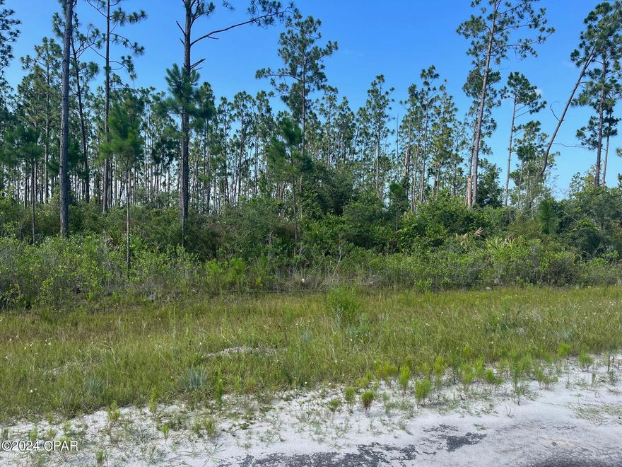 So many possibilities with this lot. Bring your tiny home, your RV, build a barndominium, mobile home, or just a pole barn. The opportunities are endless.12 minutes to the sugar sand of Mexico Beach, 20 minute drive to TAFB, and within 30 minutes of Port St Joe and Downtown Panama City.