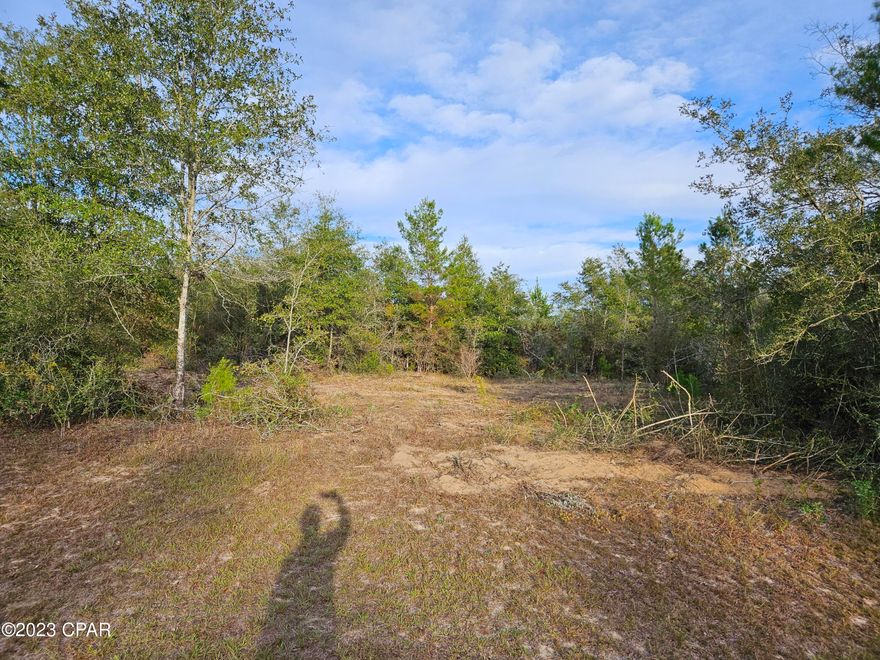 'CURRENTLY UNDER CONTRACT, SELLER WILL CONSIDER BACKUP OFFERS' This flat lot on Country Club Boulevard is very close to Gap Pond public boat ramp and about a mile from the Sunny Hills Country Club Golf Course. It is one of three side-by-side lots. One could be purchased, two or all three together. Subdivision amenities include a library, Open Lake is a recreation lake that has public restrooms, picnic tables, white sand beach, some playground equipment and more. See MLS 749430 and MLS 749432