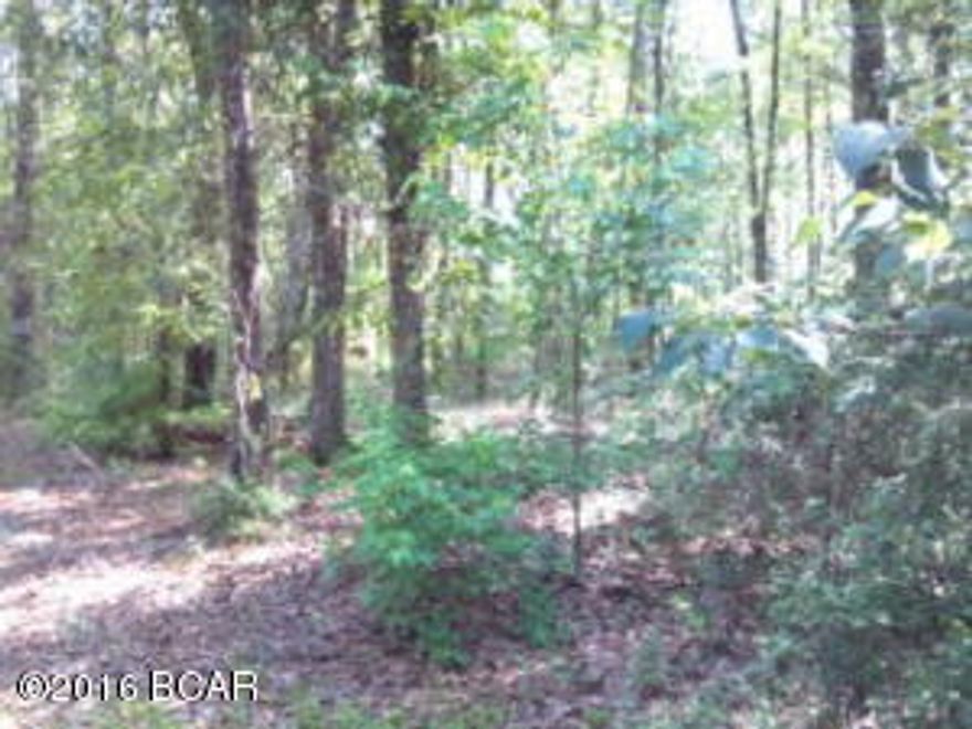 Park like setting with this lovely shaded lot with lots of trees. This lot will be the last one on your right on the dead end of Dogwood Lane. Great location just about a mile out of the city limits. Additional land can be purchased.