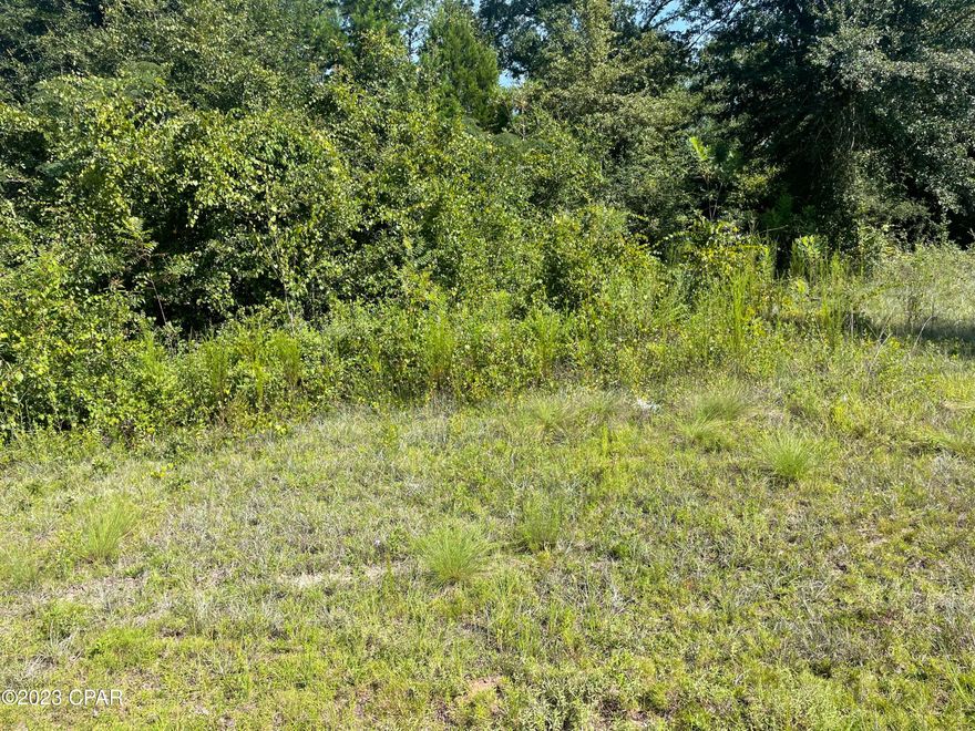 Great residential lot and enjoy country living!  Will make a great place for a home.   Close proximity to Hwy 231, just 20 minutes to new Publix and 30 minutes to Panama City.