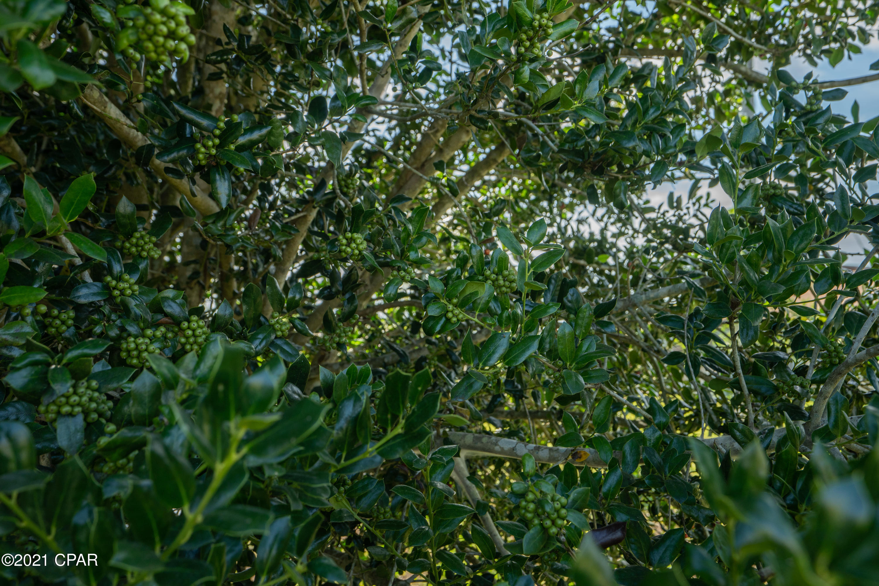 Highland City - Residential