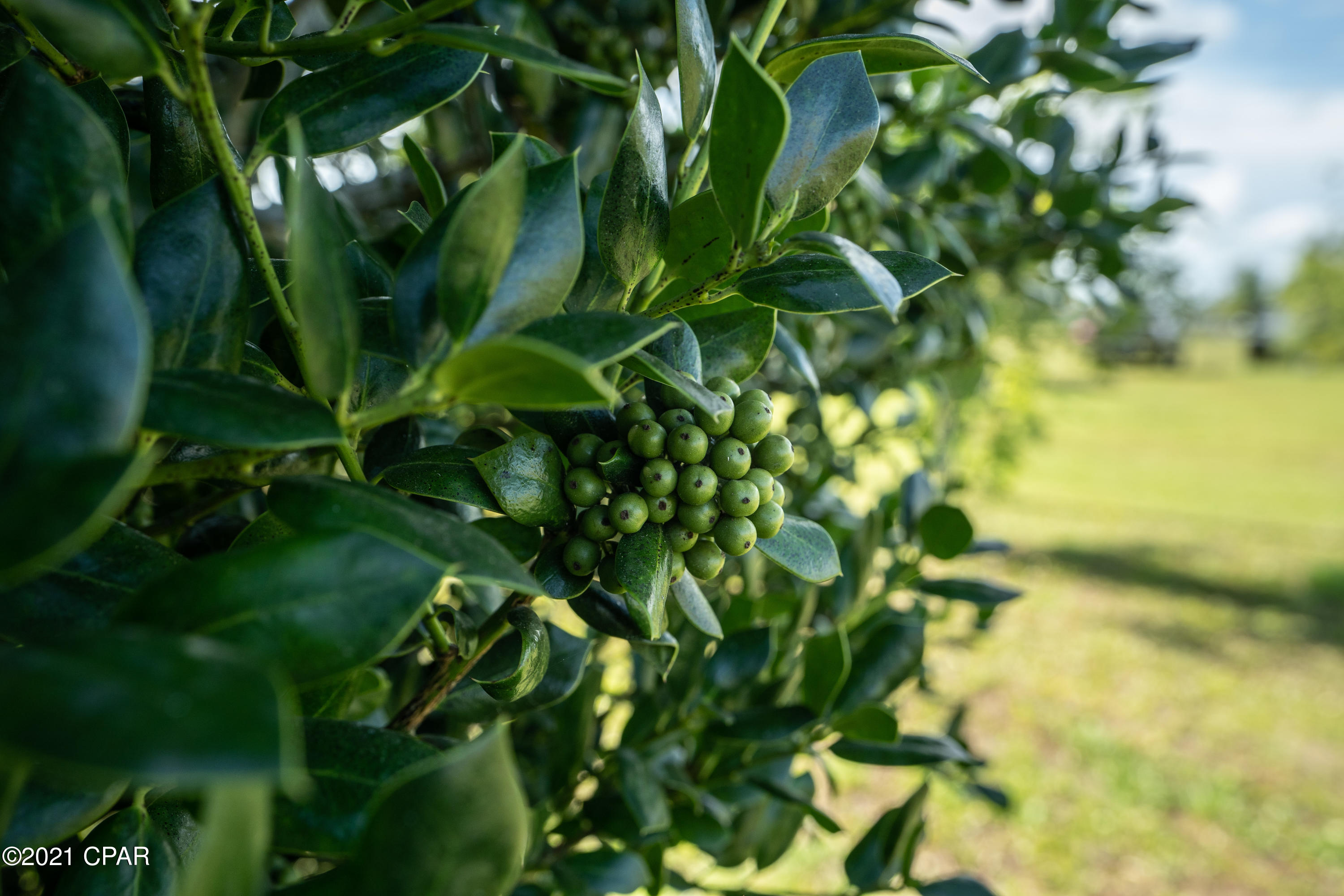 Highland City - Residential