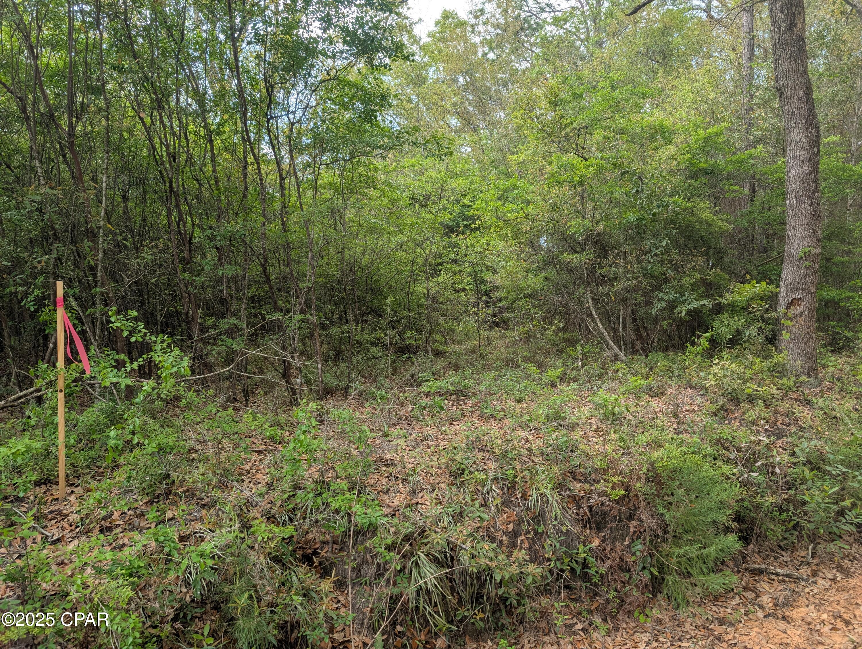 Dogwood Lake Estates - Land