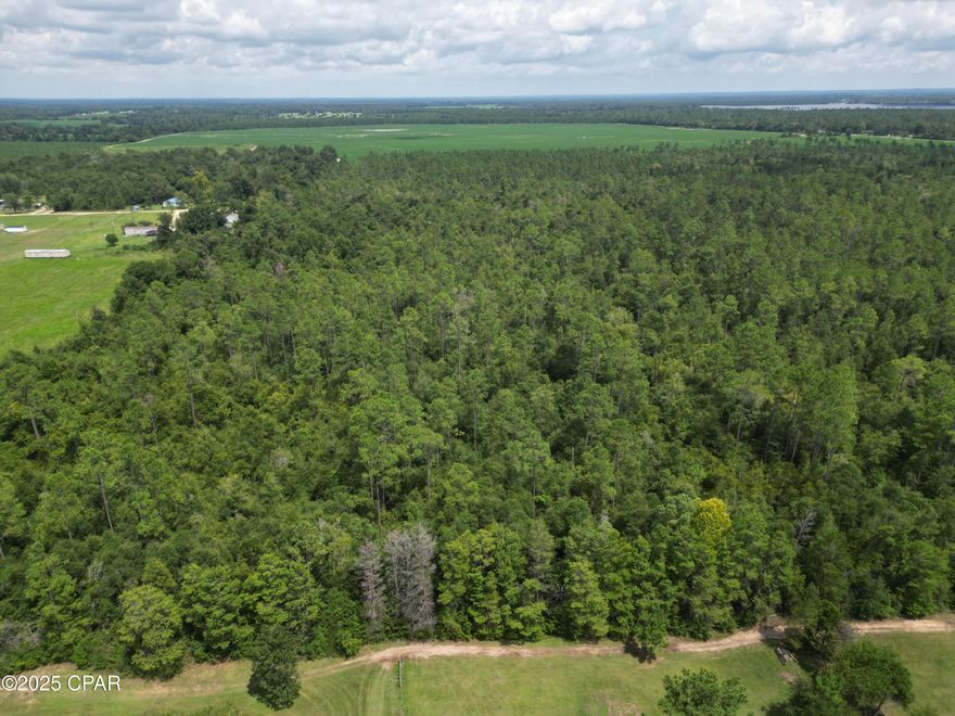 Discover this picturesque 10 +/- acre wooded lot (Lot #10) in Jackson County, FL, located off the quiet dirt road of Calhoun Road. Perfect for building your dream home or bringing a mobile home, this country setting offers peaceful living while remaining close to Marianna, where you'll find all the necessary amenities. Animal lovers will appreciate the room for horses, chickens, or other farm animals, and there's plenty of space to build a barn, plant a garden, or create your own rural retreat. Don't miss the opportunity to own a versatile property in a serene natural environment. Call today for more information.  The adjacent 10 acres is also for sale (Lot #9).
Key Features:
*100% high and dry
*Front footage on Calhoun Road
*Blue Springs Recreational Area - 2 miles
*Chipola River - 5 miles
*Interstate I-10 - 8 miles
*Marianna, FL - 8 miles
*Dothan, AL - 40 miles