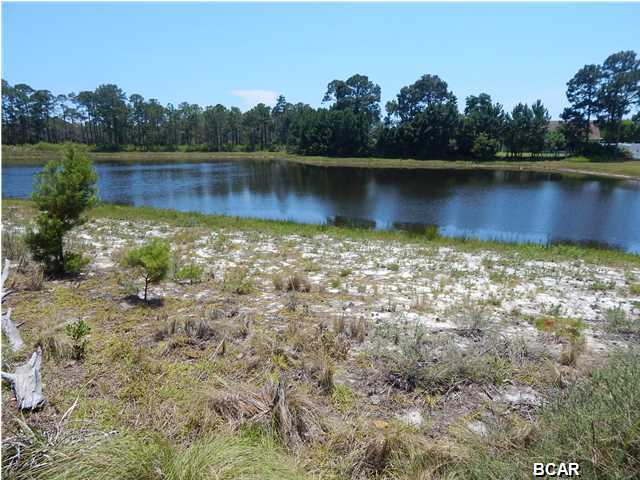 Palmetto Trace - Residential