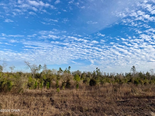 DAVENPORT RD, MARIANNA, FL 32448 - Image 41a197b7bf3bc9ed5df08edf0a8b81d4/538690943