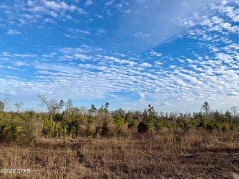 25 acres Davenport Road Marianna FL 32448