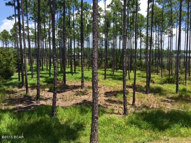 Rivercamps On Crooked Creek Ph 2 - Land