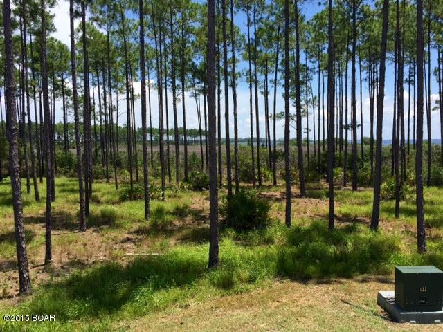 Rivercamps On Crooked Creek Ph 2 - Land