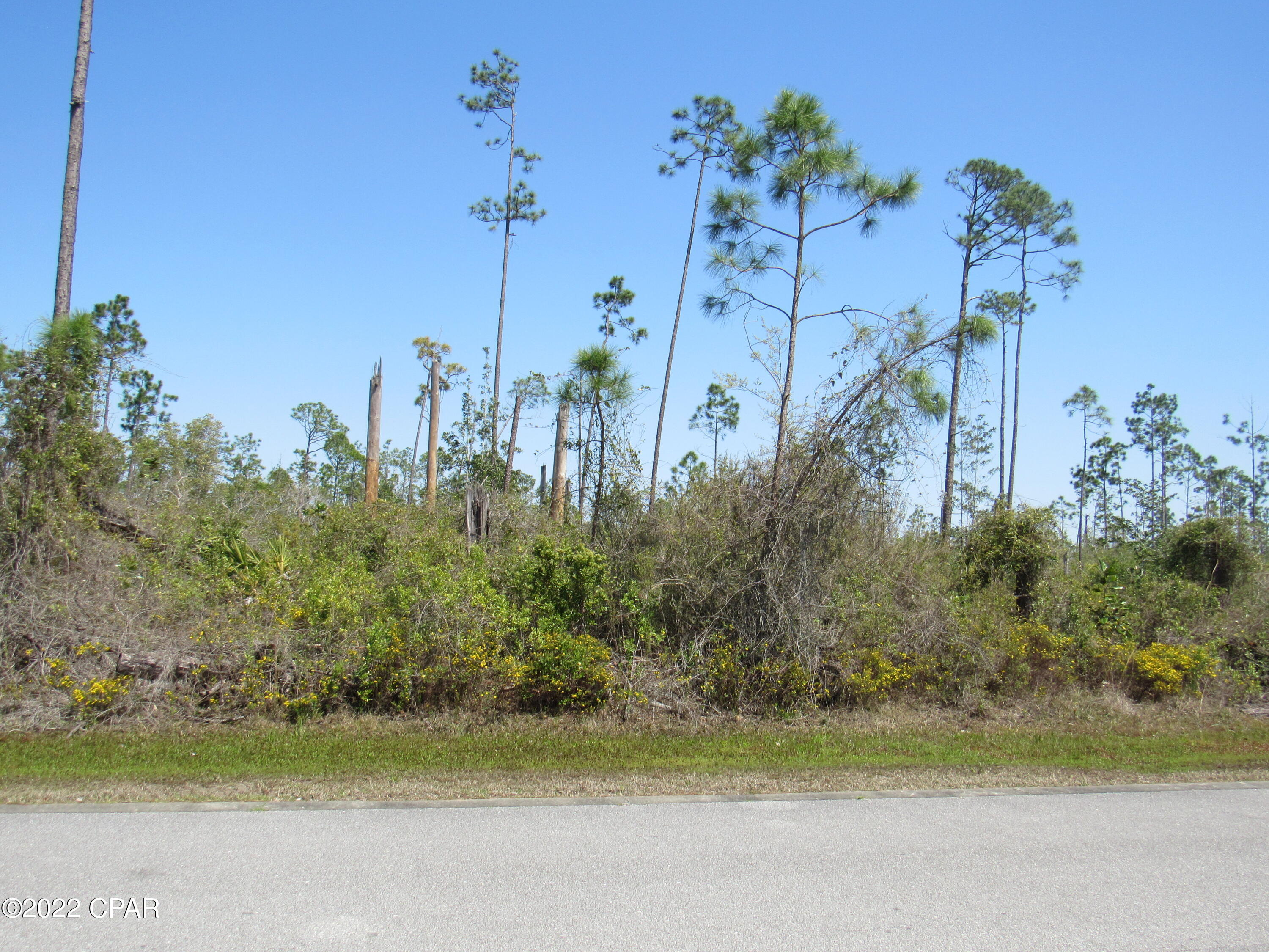 Laird Point Ph I - Land