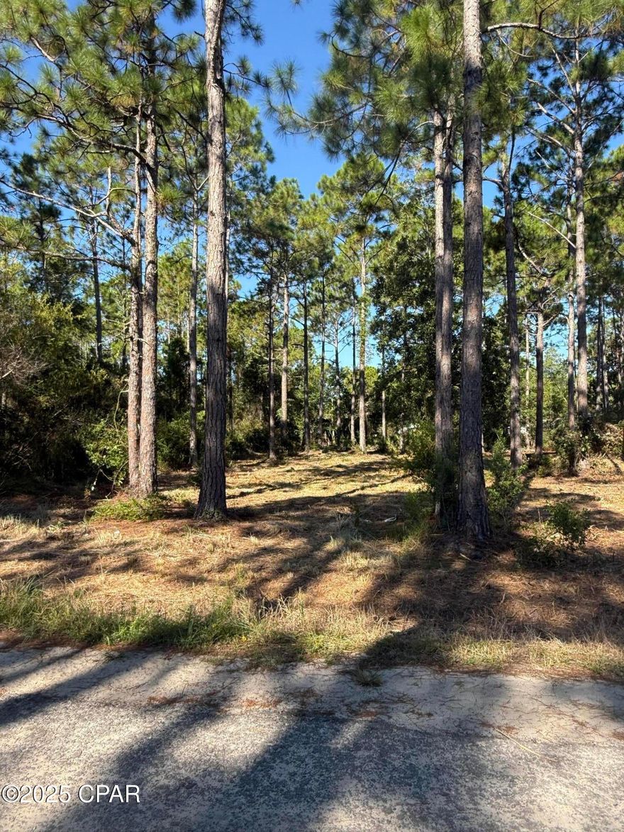 Attention investors, second-home buyers, and rental property seekers—this is your chance to own a vacant lot in the highly desirable Santa Rosa Beach area, just minutes from the scenic beauty and vibrant energy of 30A. This prime location offers the perfect balance of tranquility and excitement, with easy access to world-renowned beaches, upscale dining, boutique shopping, and lively nightlife. The lot is a blank canvas, ready for your vision—whether you're dreaming of a personal retreat, a vacation home, or a profitable rental property. Adding to its appeal, the property is located less than a mile from the Charles E. Cessna Landing Public Boat Ramp and Park, providing convenient access to Choctawhatchee Bay along with picnic areas and recreational amenities. Whether you're seeking a smart investment or a peaceful coastal escape, this opportunity in Santa Rosa Beach is one you won't want to miss.