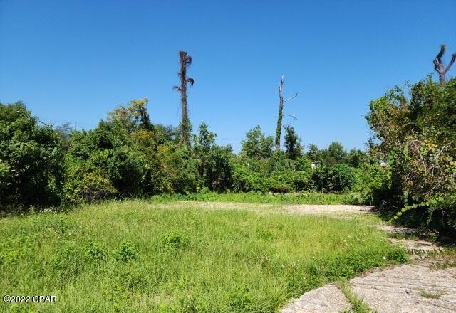 Old Orchard 1st Add - Land