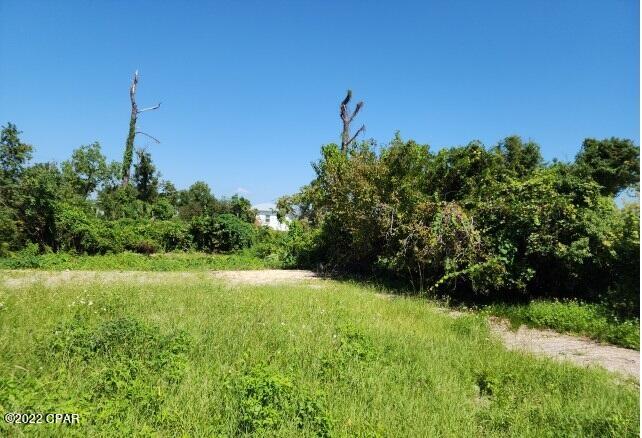 Old Orchard 1st Add - Land