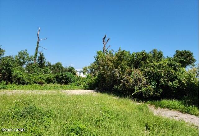 Old Orchard 1st Add - Land