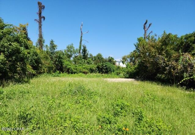 Old Orchard 1st Add - Land