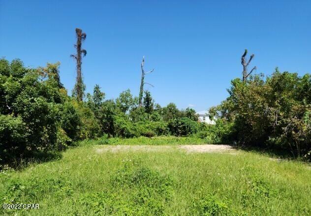 Old Orchard 1st Add - Land